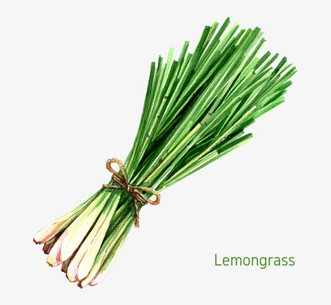Lemongrass Essential Oil - 10ml